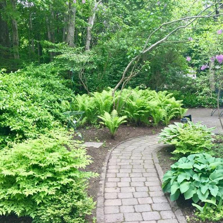 Elms Of Camden B&B 외부 사진
