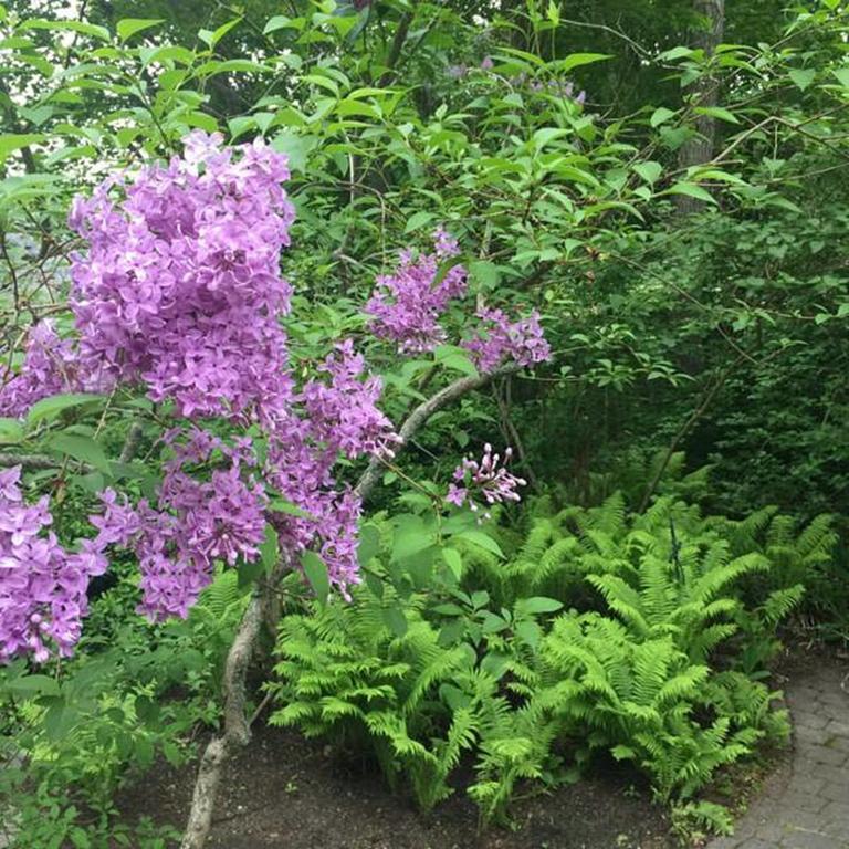 Elms Of Camden B&B 외부 사진