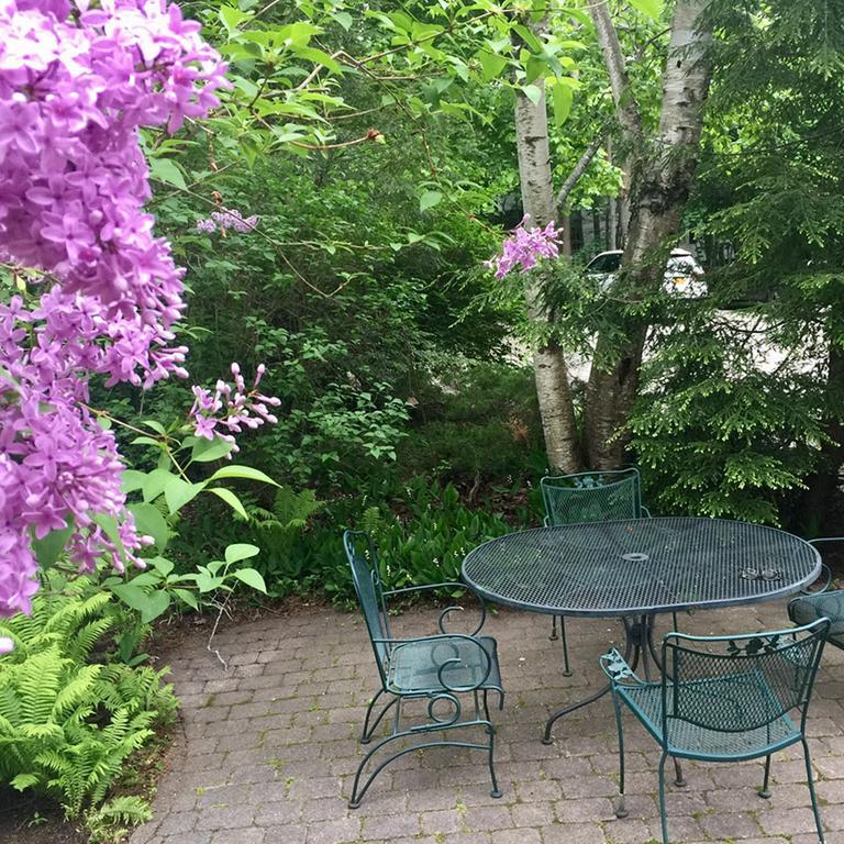 Elms Of Camden B&B 외부 사진